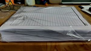 Bond Papers for Assignments Pack Of 450 Pages A4 Size