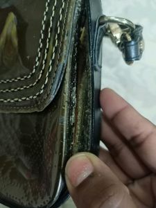 Handbag