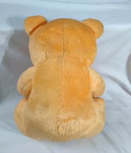 New Teddy For Kids