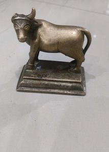 Brass Cow 🐄  One Horn Broken
