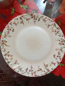 Dinner Plate 5 Pieces
