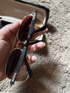 Lacoste Sunglasses