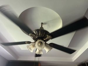 Used Decorative Ceiling Fan
