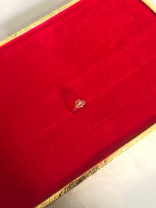 PRICE DROP Ring Velvet Organiser