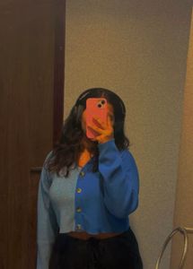 Colourblocked V-Neck Crop Top