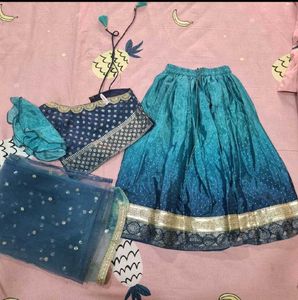 Blue Embellished Lehenga Choli Set