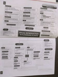 Clas 12th Biology Sample Paper With Mindmap