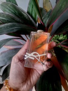 YSL Libre EDP 🧡