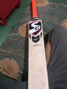 SG Cricket Bat