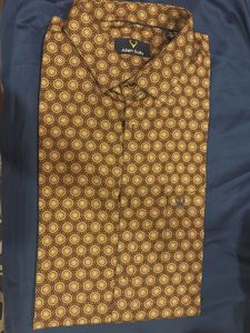 Allen Solly Semi Formal Shirt