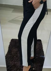 Formal Pant