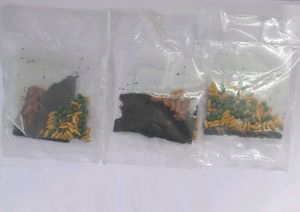 Vegetable Seeds