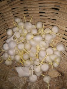 Pooja Cotton Wicks (30 Rupees Ki 100 Wick)