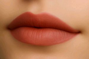 Renee Everyday Liquid Lipstick