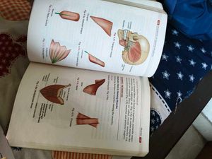 Bd Chaurasiya Handbook