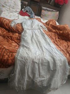 Elegant Silver Embellished Gown