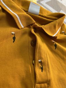 Zara Mustard T-shirt