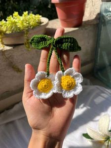 Hair Band Combo
