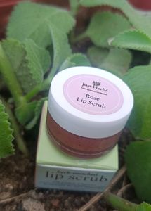 JUST HERBS LIP SCRUB