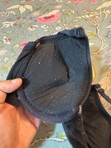 Wired Padded Bra By Blush
