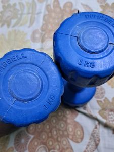 Dumbbells 1 Kg Each
