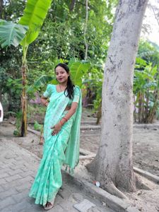 Elegant Mint Green Saree