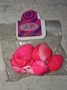 Silver hoops, Two big shells, Ten small pink shell