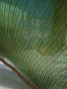 Green Olive Colour Saree 💚