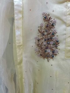 Pakistani Heavy Bridal Dress