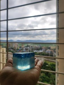 Paper Weight 💙🐋