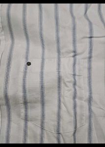 Turtle Striped Shirt