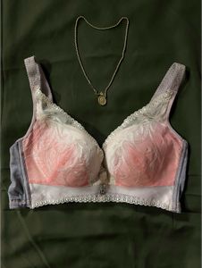 Pink Ombre Bra