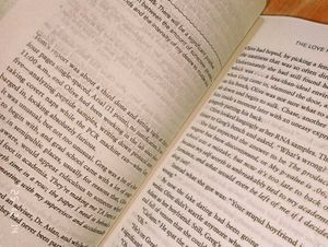 The Love Hypothesis by Ali Hazelwood