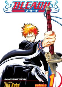 Bleach Manga Vol. 1