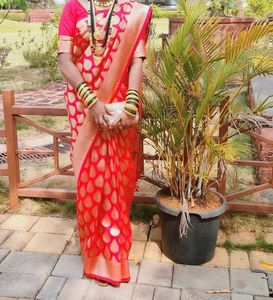 Red & Gold Saree