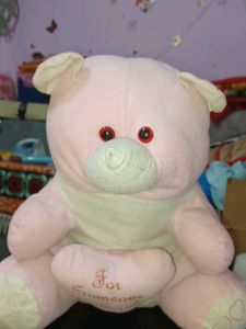 Teddy Bear For Someone Special