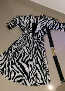 Zara Dress