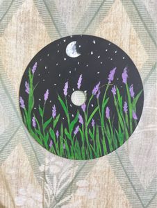 Hand-Painted Decorative CDs