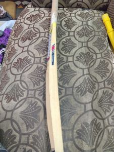 Kookaburra Cricket Bat