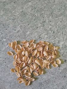 Pistachio Shells for Crafts