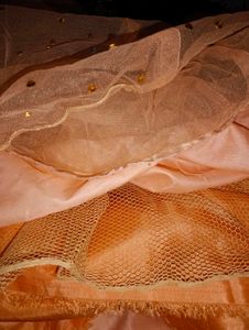 Peech Partywear Lehenga