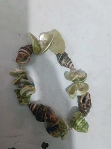 Seashell Bracelet