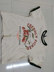 Off White Colour Crop Tshirt