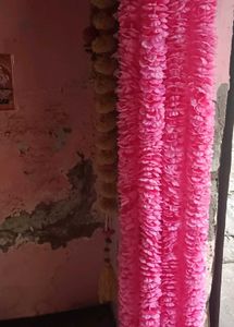 Baby Pink Blossom Strings 5 Ft