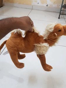 A Soft Toy