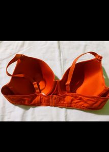 Clovia 42 B