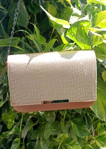 Shimmer Clutch