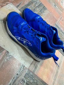 Badminton Shoes Hundred