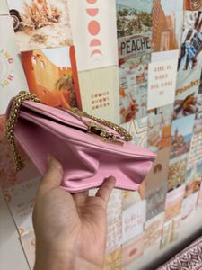 Pinterest Baby Pink Premium Hand/sling Bag