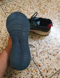 Asian Sports Shoes For Men, Women, Children